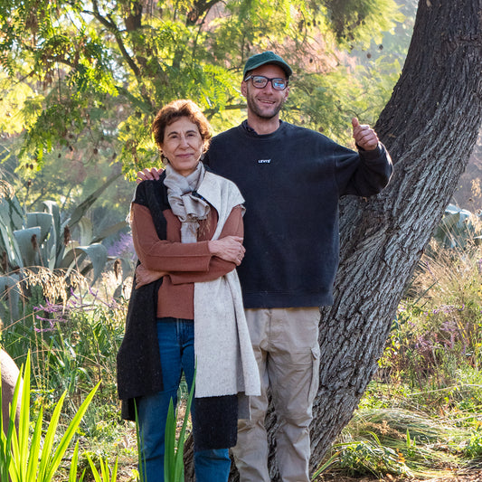 Curso Online // DISEÑO DE JARDINES // Próximamente