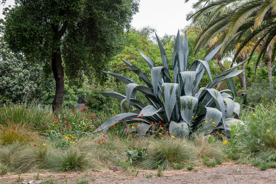 Visita Guiada 9 de Enero