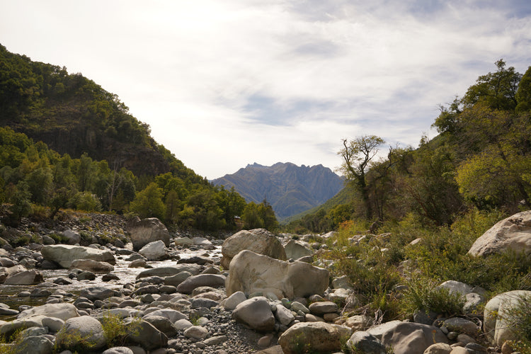 EXCURSIONES BOTÁNICAS