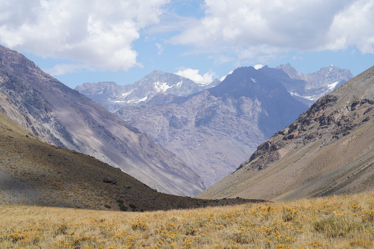 Excursión botánica Parque Andino Juncal // 13 DICIEMBRE 2025
