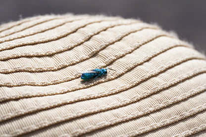 Excursión botánica Parque Andino Juncal // 13 DICIEMBRE 2025