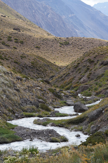 Excursión botánica Parque Andino Juncal // 13 DICIEMBRE 2025