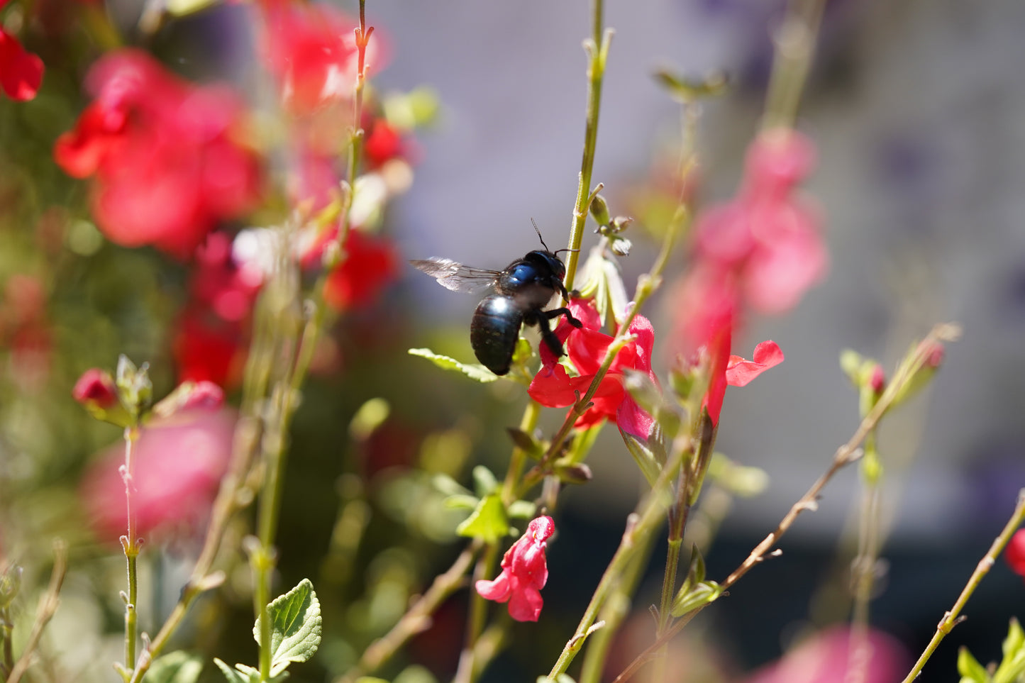 Visita Guiada  9 de Enero