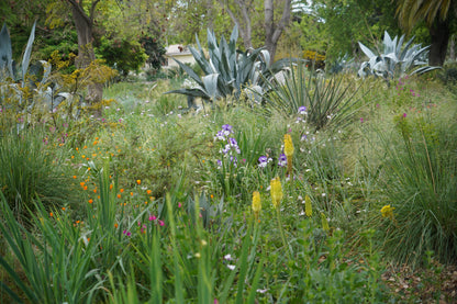 Curso Online PREGABADO // DISEÑO DE JARDINES //
