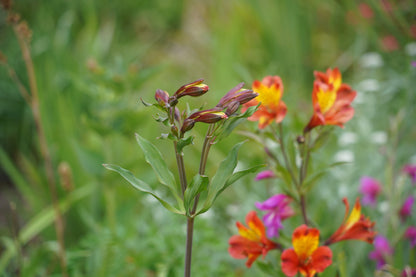 Visita Guiada  9 de Enero