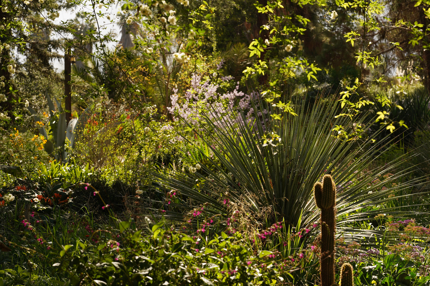 Curso Online PREGABADO // DISEÑO DE JARDINES //