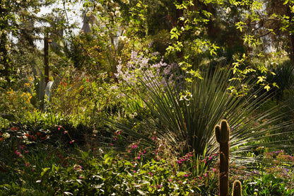 Curso Online PREGABADO // DISEÑO DE JARDINES //