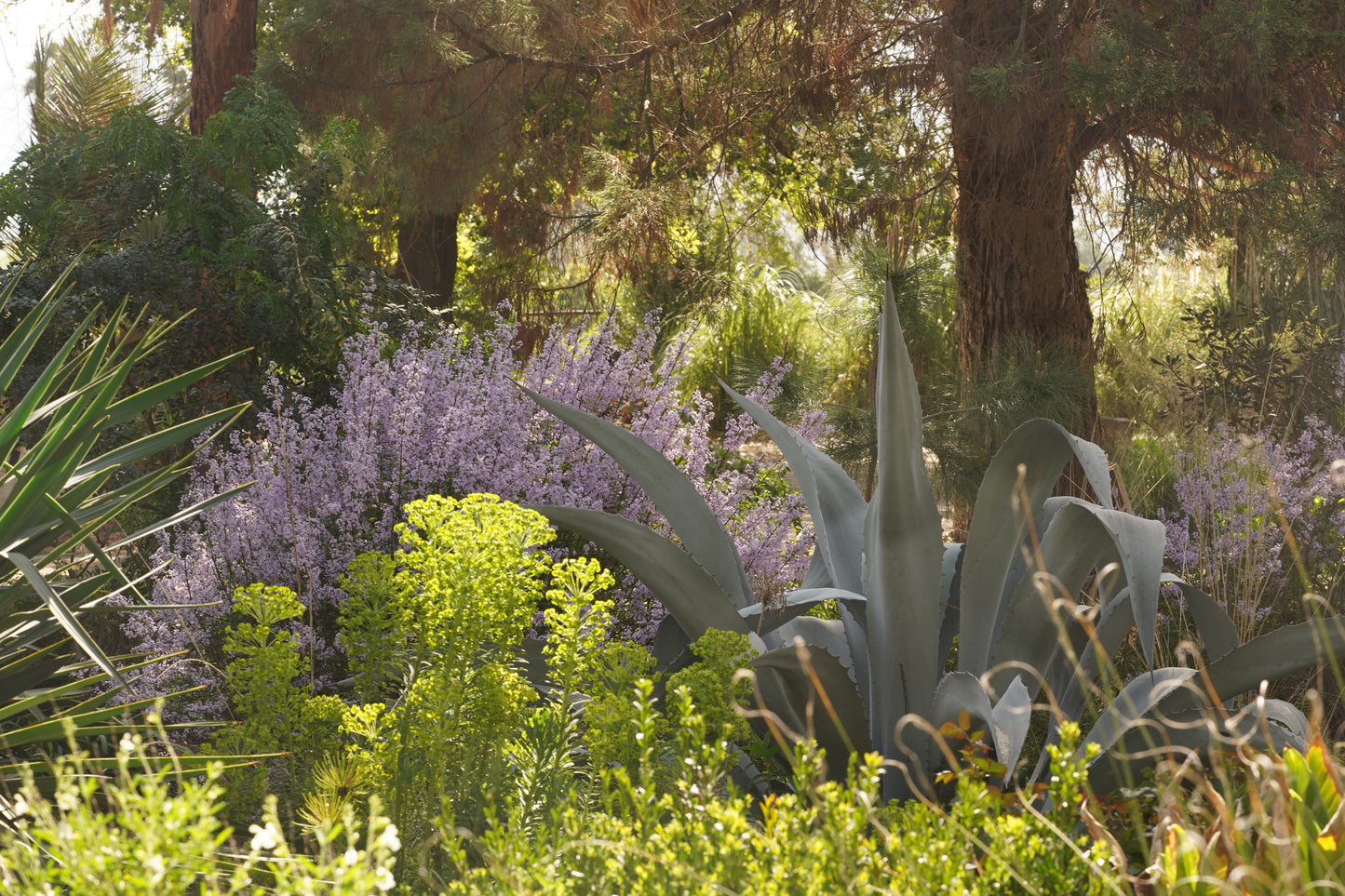 Visita Guiada  9 de Enero