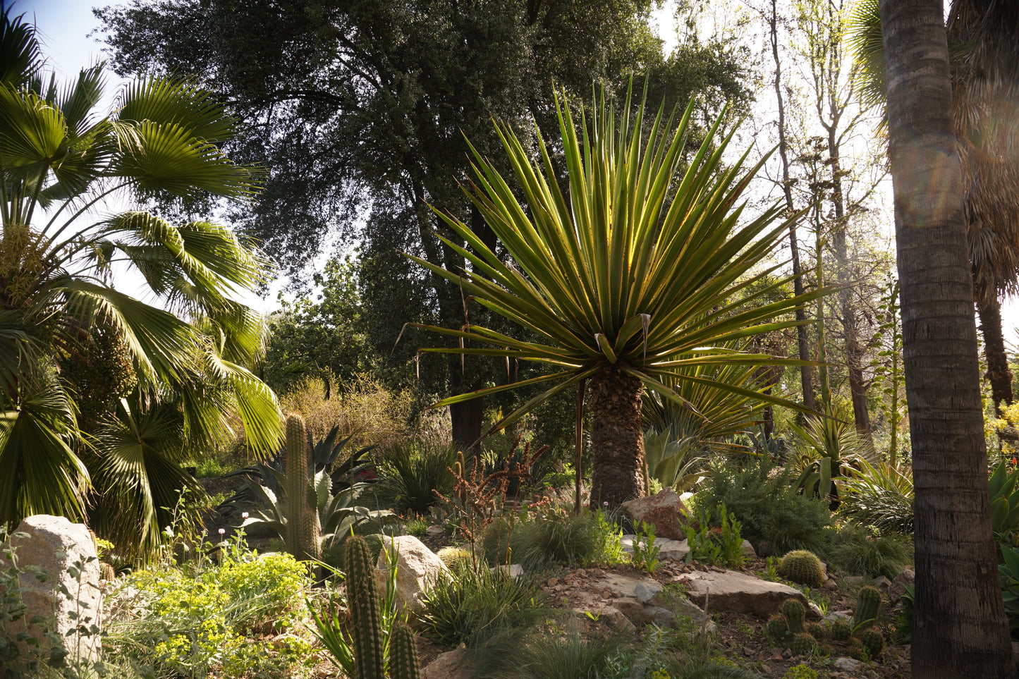 Visita Guiada  9 de Enero