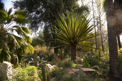 Visita Guiada  9 de Enero