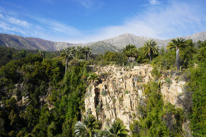 Excursión botánica Palmas de Ocoa // PRÓXIMAMENTE //