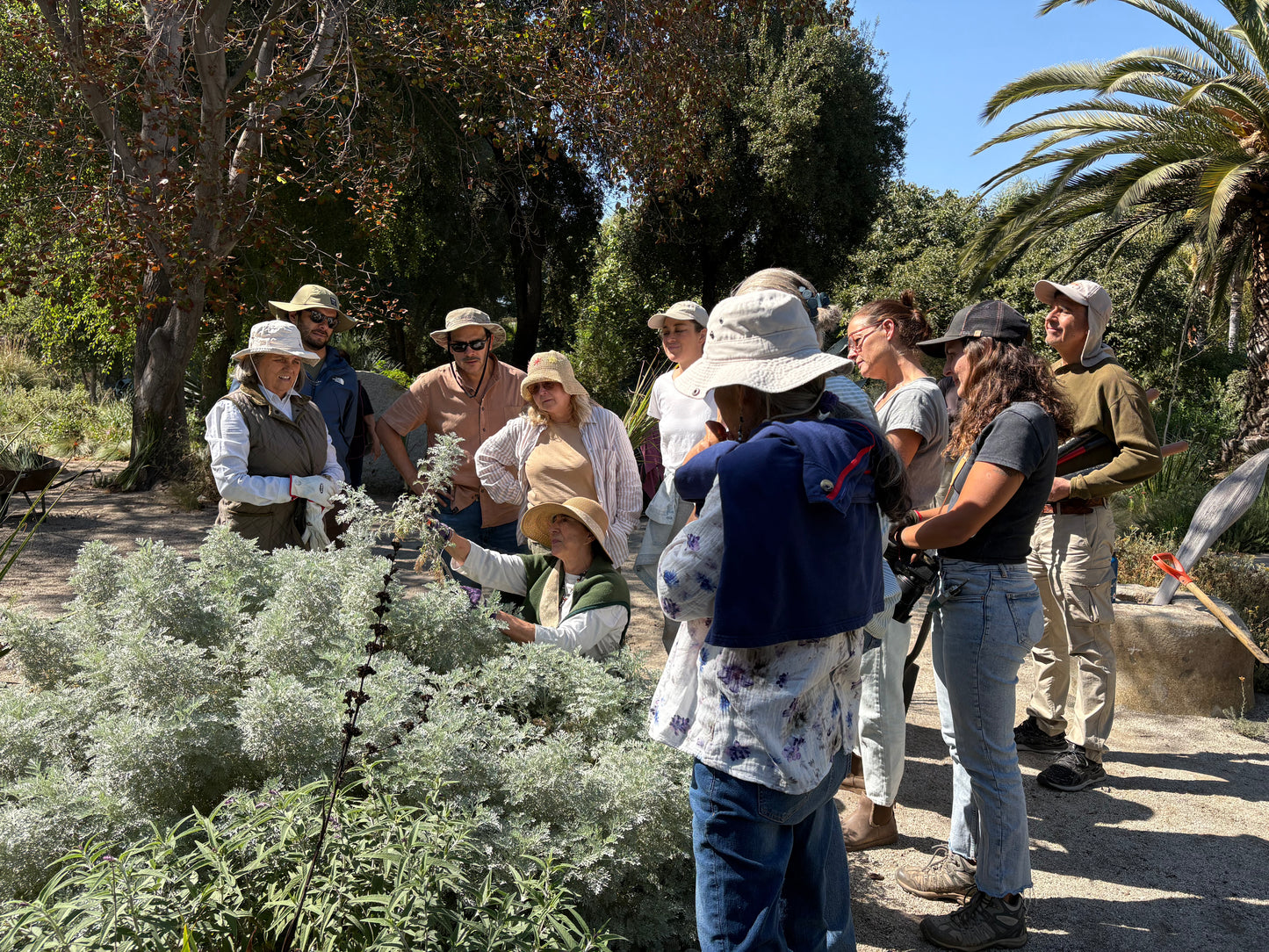 Visita Guiada  9 de Enero