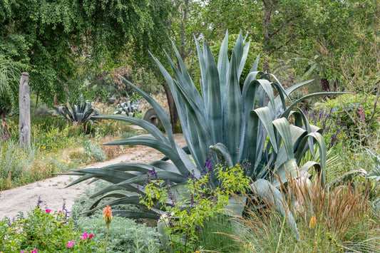 Curso Online PREGABADO // DISEÑO DE JARDINES //