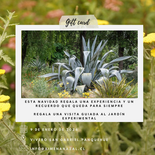 Gift Card : Visita guiada al jardín experimental